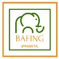 Bafing-Projects